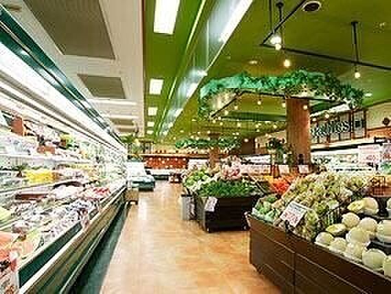 apartment 群馬県伊勢崎市連取町1510-1　T＆M　DE号