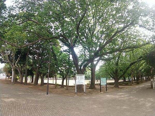 グラン・シャリオ