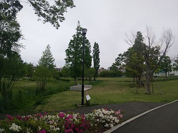 ウィンドテラス大久保