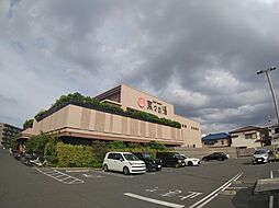 ウィンドテラス大久保