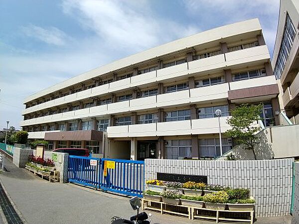 コンフォート三山 206｜千葉県船橋市三山5丁目(賃貸マンション1K・2階・19.44㎡)の写真 その17