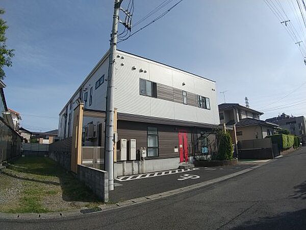 メイプルツリー