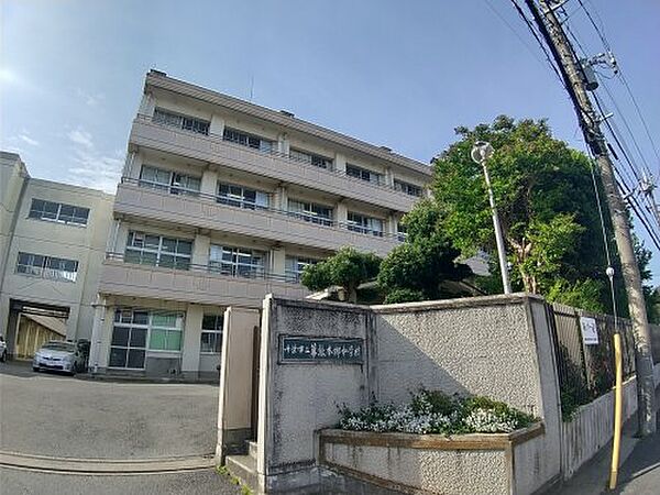 メイプルツリー