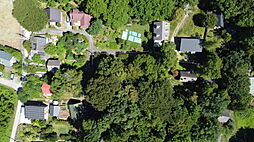 白樺のある整形地。閑静な白井沢で、ゆとりある別荘ライフを。の土地画像