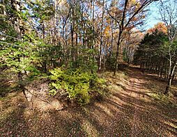 森に囲まれた5,087平米の広大な敷地、自由な発想で活用をの土地画像