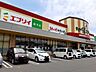 周辺：エブリイ新市店まで1100m