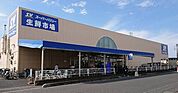 スーパーバリュー 越谷店まで約1000ｍ、徒歩約13分、自転車約5分