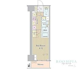 ヴェルデュール高田馬場 10階1Kの間取り