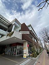 アヴァンティ哲学堂公園 210 ｜ 東京都新宿区西落合１丁目25-9（賃貸マンション1K・2階・19.32㎡） その28