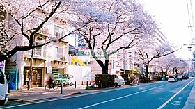 グラントゥルース桜台駅前 406 ｜ 東京都練馬区桜台１丁目2-15（賃貸マンション1K・4階・21.76㎡） その19