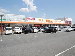 ロワイヤルアイランド織島IV