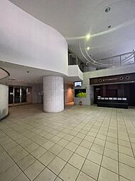 12 / 31