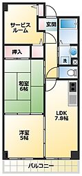 グレイスアベリア