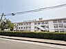 周辺：西池小学校 910m