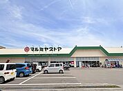 マルミヤストア 住吉店 970m