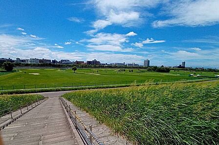 荒川運動公園桜堤 460m