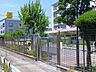 周辺：足立区立いりや第一保育園 420m