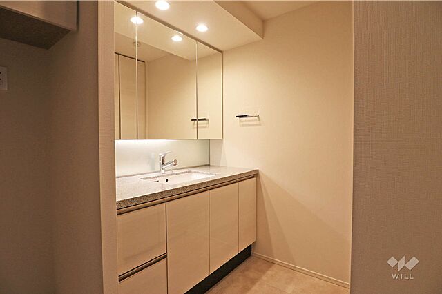 洗面 ザ・タワー十条 26階/-