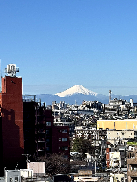 住戸からの眺望。晴れた日には富士山が見えます。