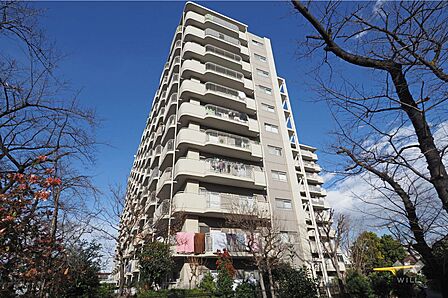 蓮根ファミールハイツの外観(南西側から)