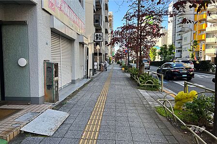 敷地の北東側前面道路(南東側から)