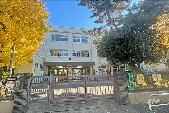 滝野川第五小学...