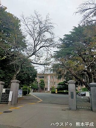 熊本県立済々黌...