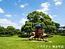 周辺：柿原公園 510m