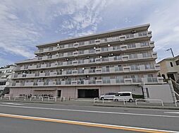 エクセル柿生
