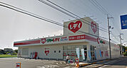 くすりのレデイ太田上町店 