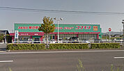 ディスカウントドラッグコスモス綾川店