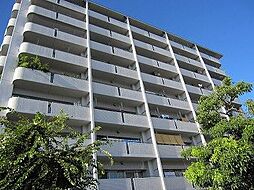 アルファステイツ木太