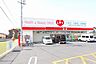 周辺：くすりのレデイ高松一宮店