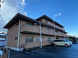 スカールハートレイ三木