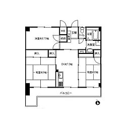 カトレアハイツ石川 3DKの間取図画像