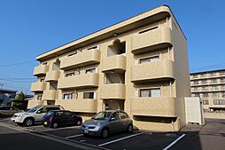 サニープレイス・ワン 102