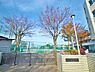 周辺：横浜市立飯島中学校（650ｍ）