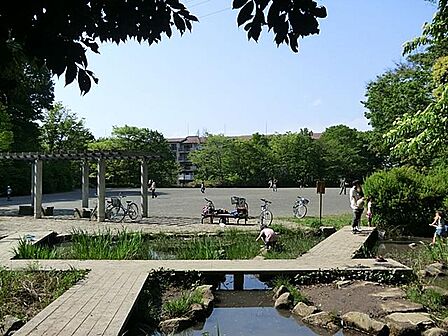坪呑公園まで約1618m