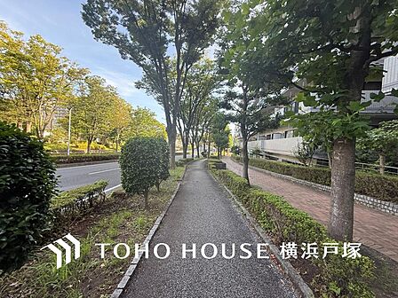 【Frontal road】穏やかな街並みの中で、陽光と開放感を感じながら暮らせる魅力ある住環境です。