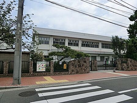 歴史ある市街地エリアに位置するアットホームな公立小学校。のびのびとした教育環境の中で子どもたちの思いやりの心と自主性を育み、保護者や地域の温かい見守りのもと健やかに成長しています。