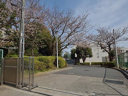 横浜市立秋葉小学校まで約1047m