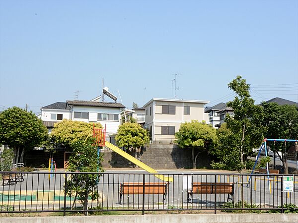 周辺を拡大表示
