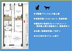 綱島ハイム
