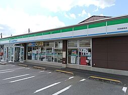 向川澄