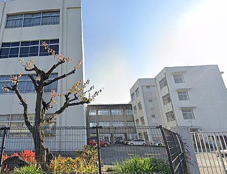 高岡小学校 670m