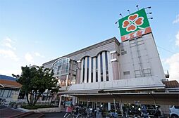 ライフ 御所店（325m）