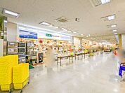 ジャパンミート生鮮館新田店 3358m