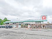 コメリハード＆グリーン藪塚店 1777m