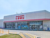 ファッションセンターしまむら下田島店 1897m