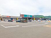 カインズ太田丸山店 2953m